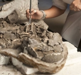 Indicios de momificación en cuerpos de hace 8.000 años en Portugal